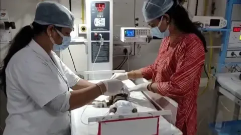 Infant Buried Alive in the Country Fights for Existence